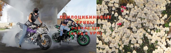 амф Балахна